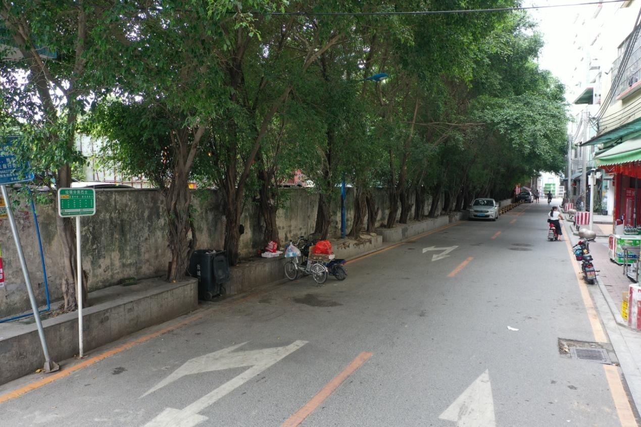 广州这个社区开展环境改造,口袋公园,道路景观都要变美