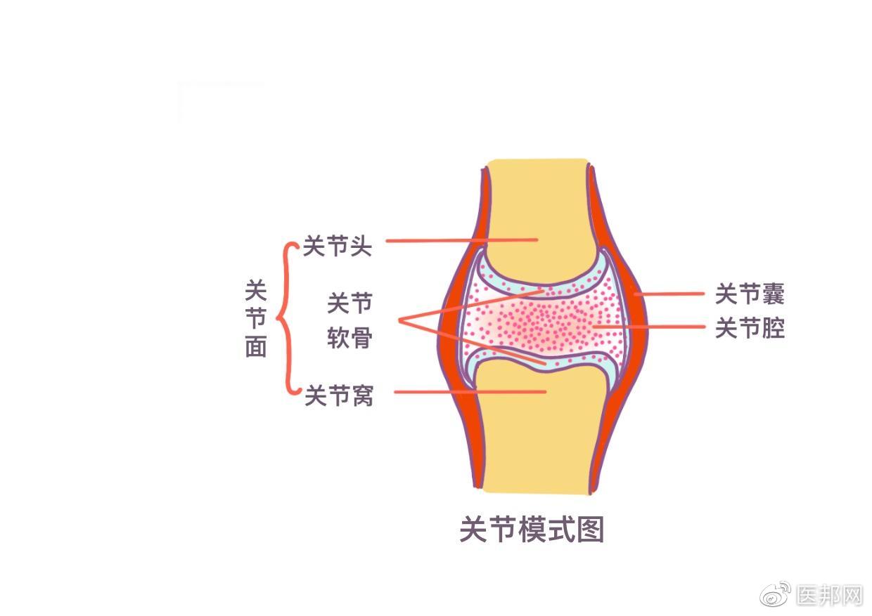 天气变冷关节炎频繁发作怎么办骨关节炎的10大误区你知道吗