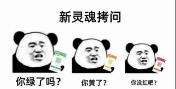 “上岸”地铁站火了，这届考研人为“求上岸”能有多拼？休闲区蓝鸢梦想 - Www.slyday.coM