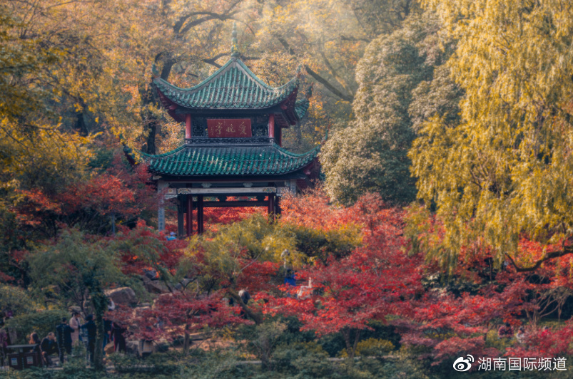 湖南的秋天有多美?这些宝藏秋景撑起了湖南的秋日颜值休闲区蓝鸢梦想 - Www.slyday.coM 湖南的秋天有多美?这些宝藏秋景撑起了湖南的秋日颜值休闲区蓝鸢梦想 - Www.slyday.coM