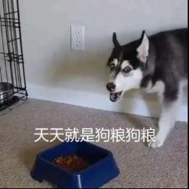 “上岸”地铁站火了，这届考研人为“求上岸”能有多拼？休闲区蓝鸢梦想 - Www.slyday.coM