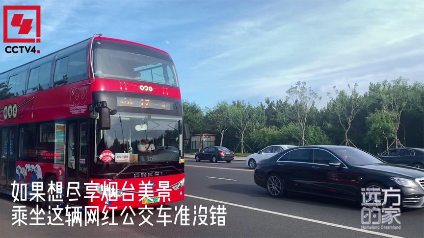 打卡烟台网红17路公交车,美景尽收眼底!