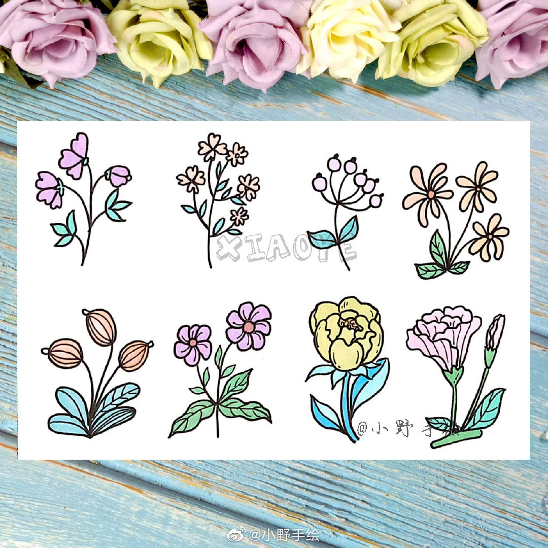 听说你的画纸上有一座花园 @小野手绘