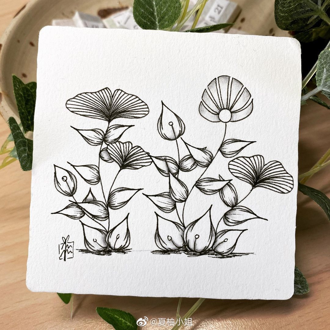 简单好看的禅绕画 :czt__财经头条