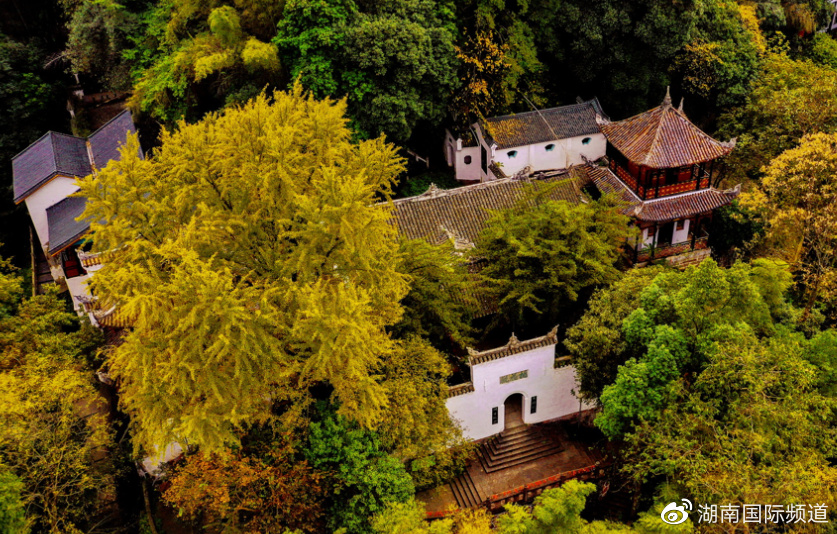 湖南的秋天有多美?这些宝藏秋景撑起了湖南的秋日颜值休闲区蓝鸢梦想 - Www.slyday.coM 湖南的秋天有多美?这些宝藏秋景撑起了湖南的秋日颜值休闲区蓝鸢梦想 - Www.slyday.coM