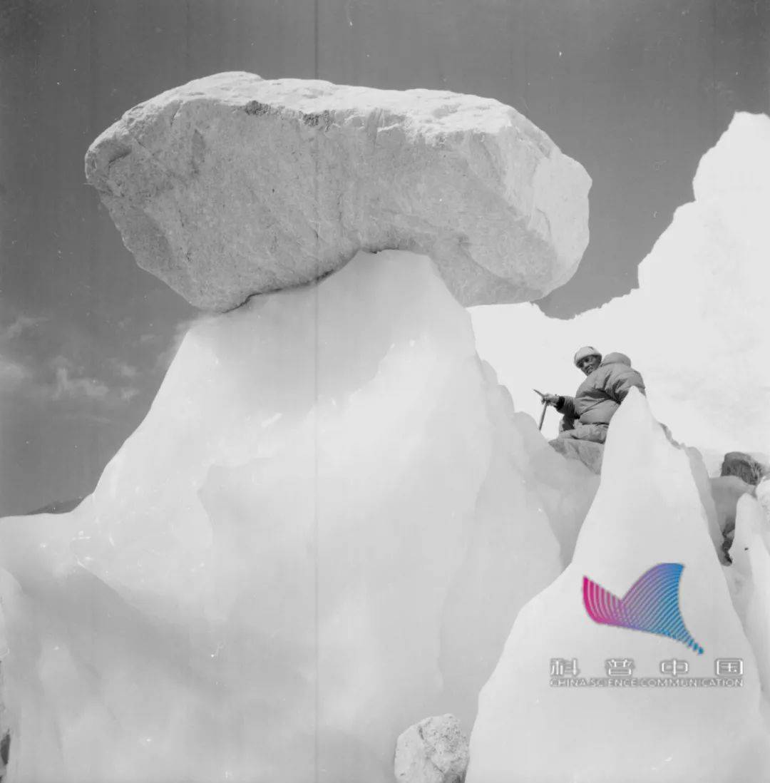 重磅预告亲吻地球三极高登义