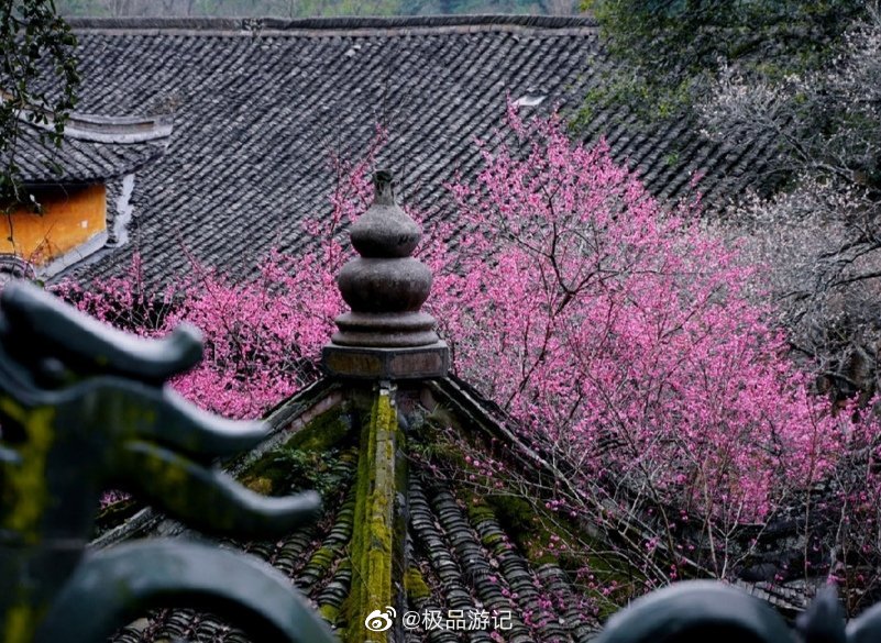 日暖花梢,香飘帘幕__财经头条