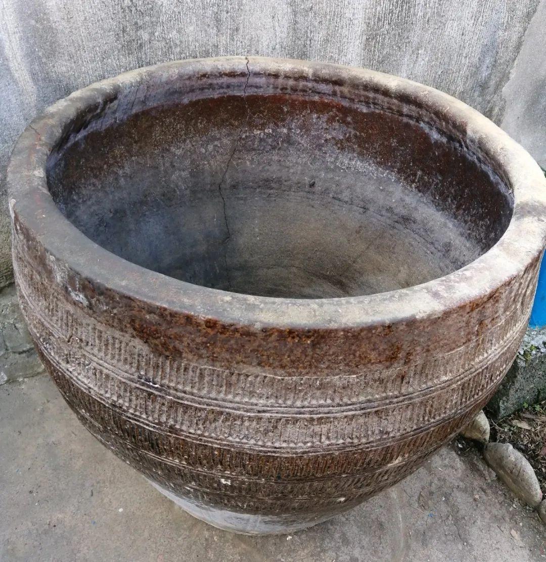 大水缸养花30年不用换盆放门口能当传家宝