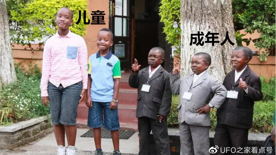 俾格米人身材如侏儒般矮小,8岁就能孕育下一代,是何原因?|非洲|性成熟|环境|儿童|身体_新浪新闻