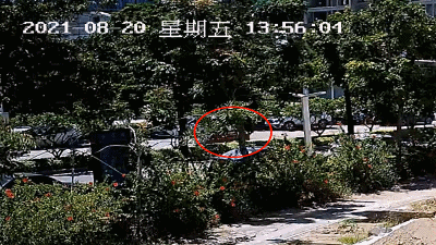 女子骑车没被撞，却进ICU！交警还原现场找到原因：她骑车分心且没戴头盔休闲区蓝鸢梦想 - Www.slyday.coM