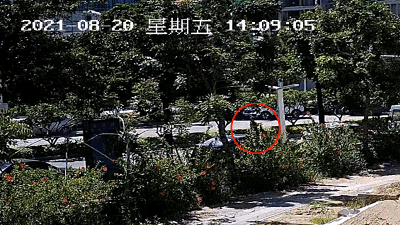 女子骑车没被撞，却进ICU！交警还原现场找到原因：她骑车分心且没戴头盔休闲区蓝鸢梦想 - Www.slyday.coM