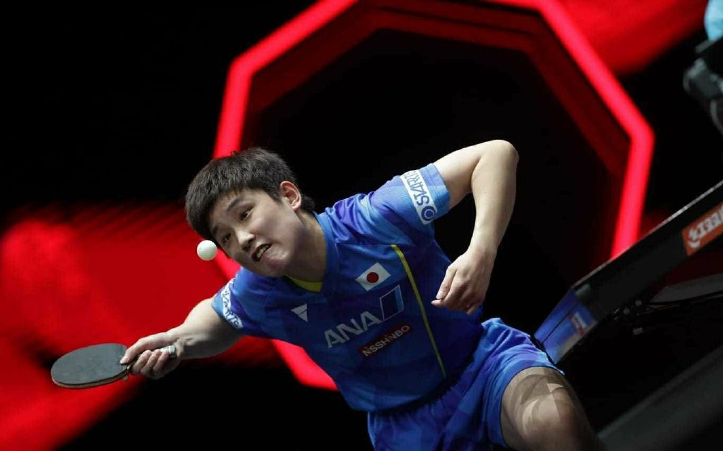 被打懵!张本智和10休闲区蓝鸢梦想 - Www.slyday.coM 被打懵!张本智和10休闲区蓝鸢梦想 - Www.slyday.coM