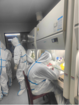 致敬！48万份核酸检测报告背后的南昌大学二附院“新冠核酸检测人”休闲区蓝鸢梦想 - Www.slyday.coM