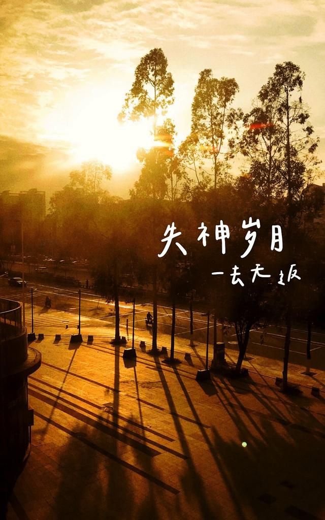 干净又大方的文案句子句句有深意一见倾心