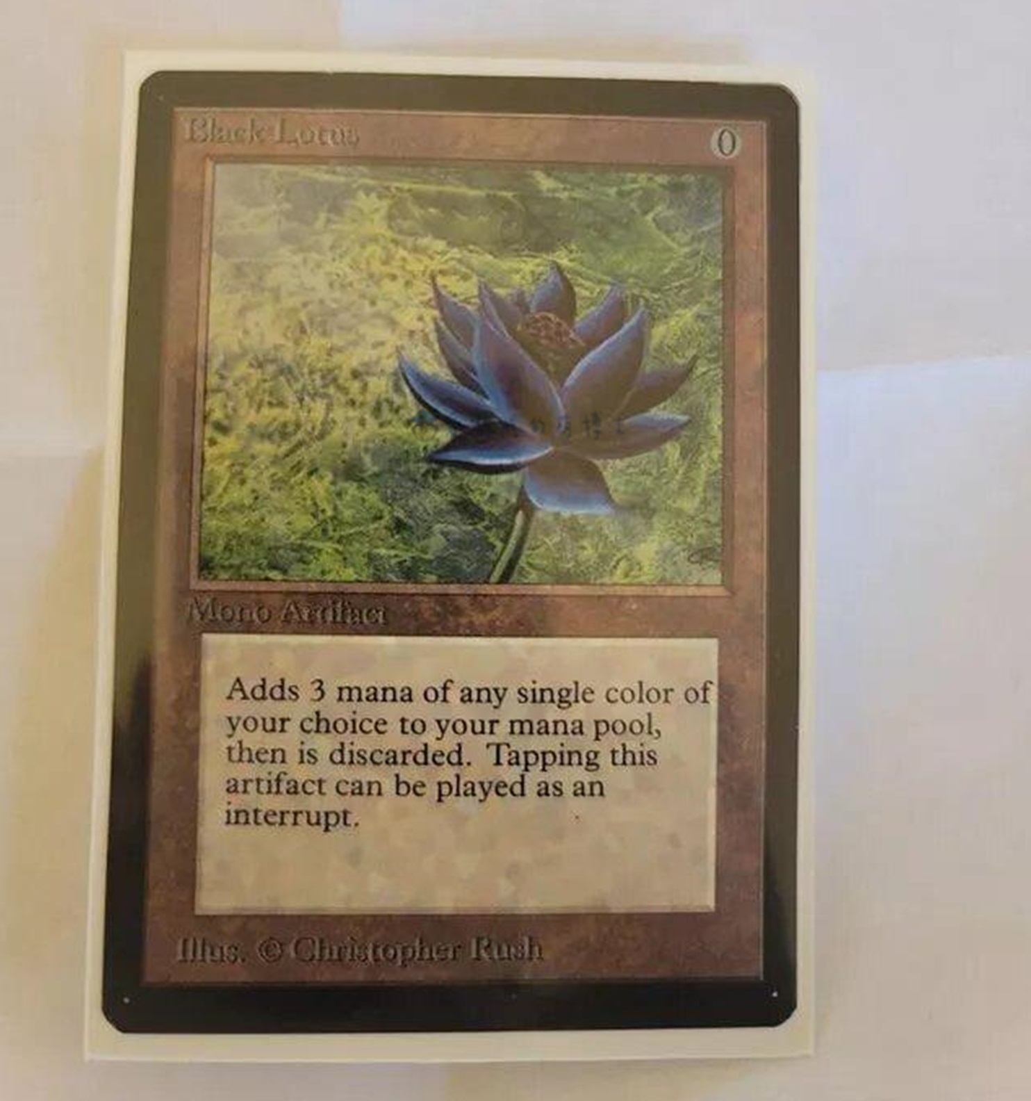 万智牌玩家开封卡包抽出一张黑莲花这是天降横财的感觉