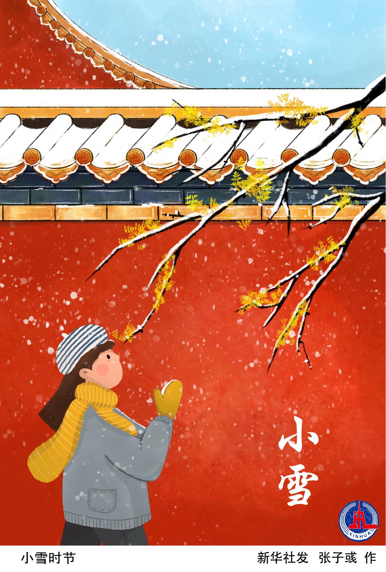 图表插画二十四节气小雪小雪时节