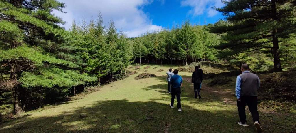 用美景说话，看过这28张图，你就知道广元秋天有多美，请签收！休闲区蓝鸢梦想 - Www.slyday.coM