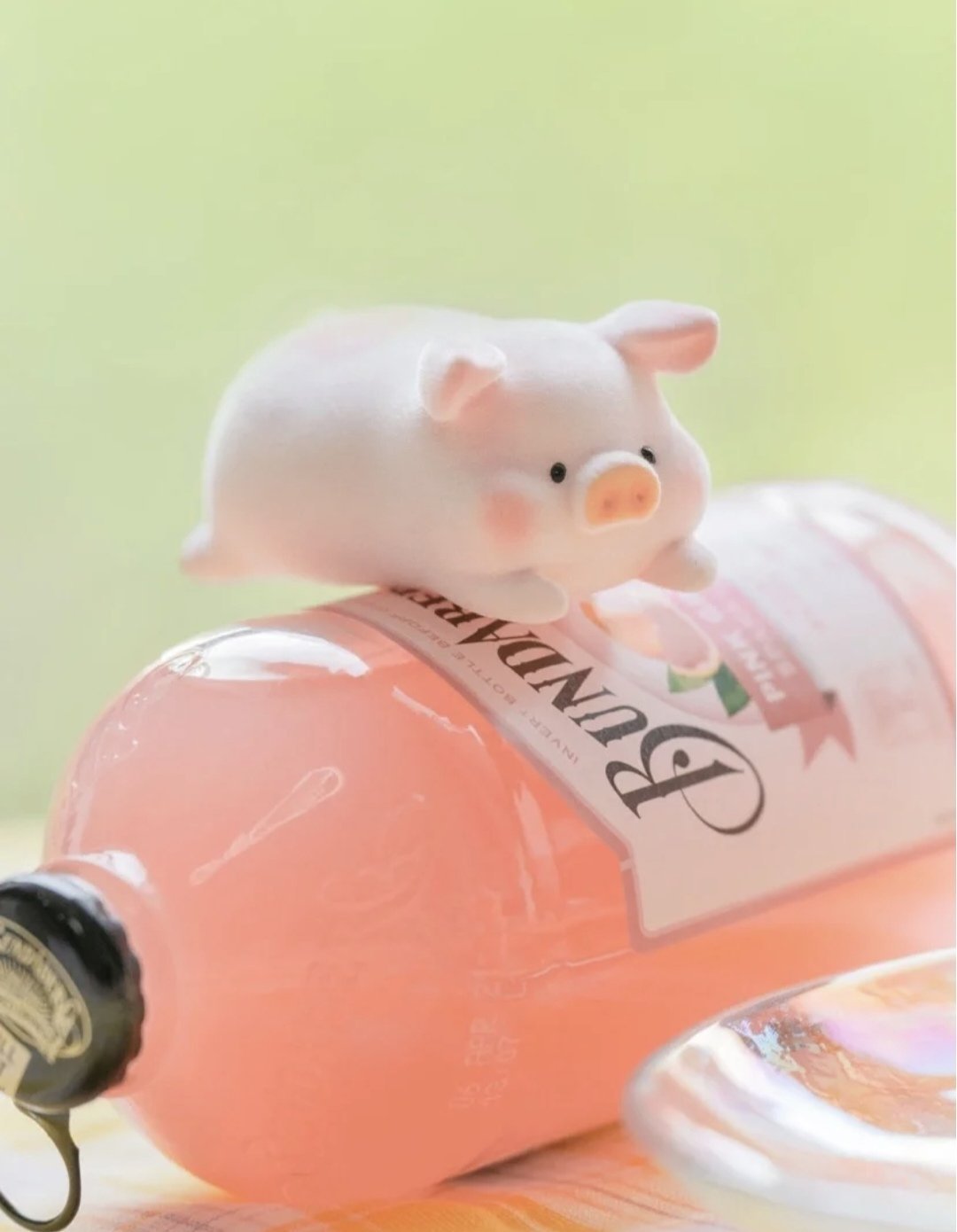 圆滚滚的小胖猪也太可爱了吧_高清图集_新浪网