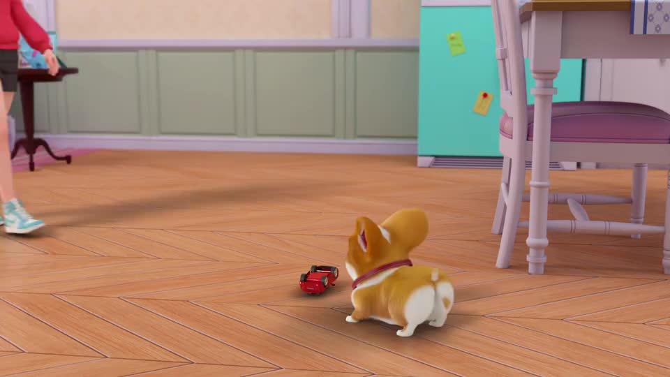 飞狗moco在主人眼里我做啥都是可爱的