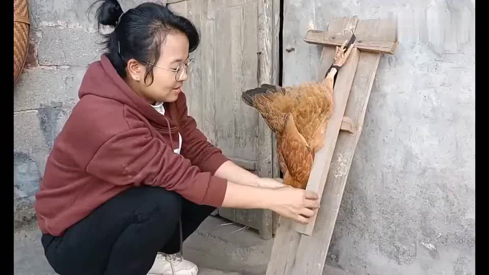 农村妹子自创杀鸡神器我还是第一次见你觉得这个怎么样