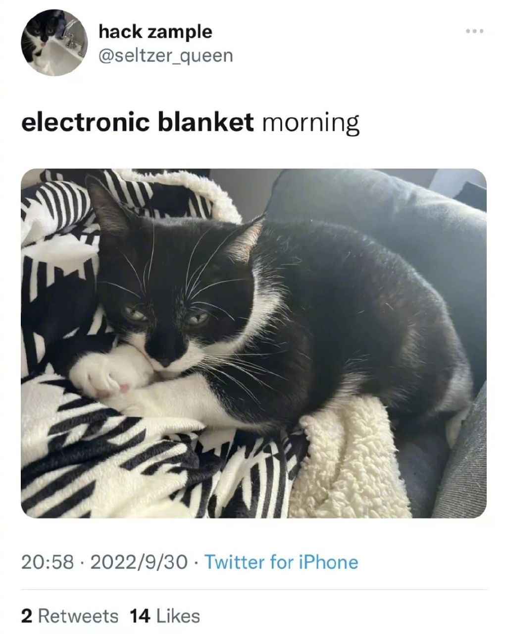 被欧洲人买爆的中国电热毯，真有那么火吗？休闲区蓝鸢梦想 - Www.slyday.coM