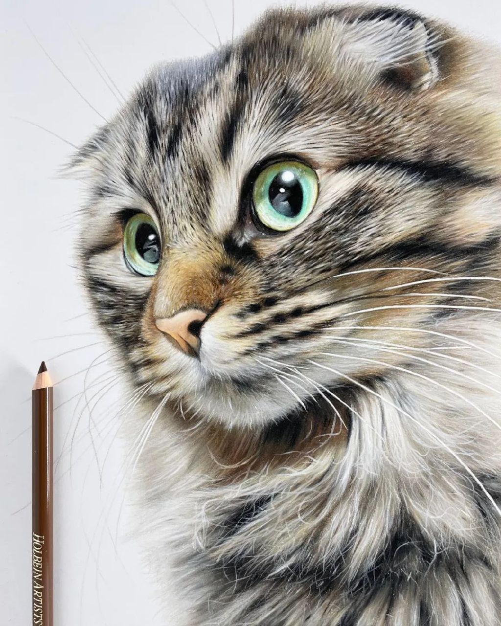 一幅彩铅画耗费50个小时,看到完整作品后,每个人都说值|超写实|画家