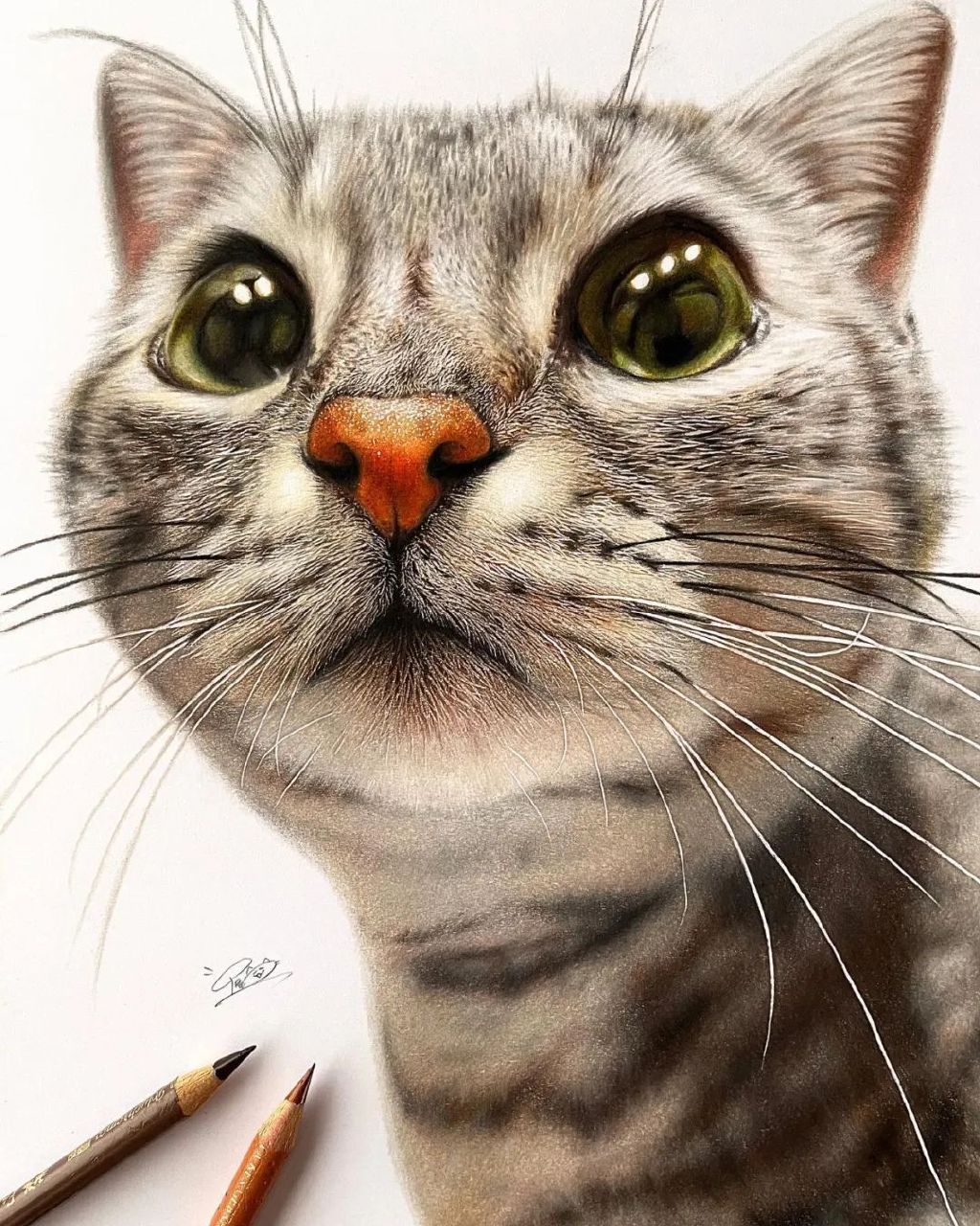 一幅彩铅画耗费50个小时,看到完整作品后,每个人都说值|超写实|画家