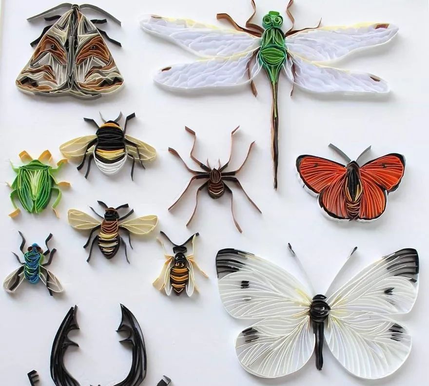 退休阿姨在家用纸条作出让人惊艳的动物画