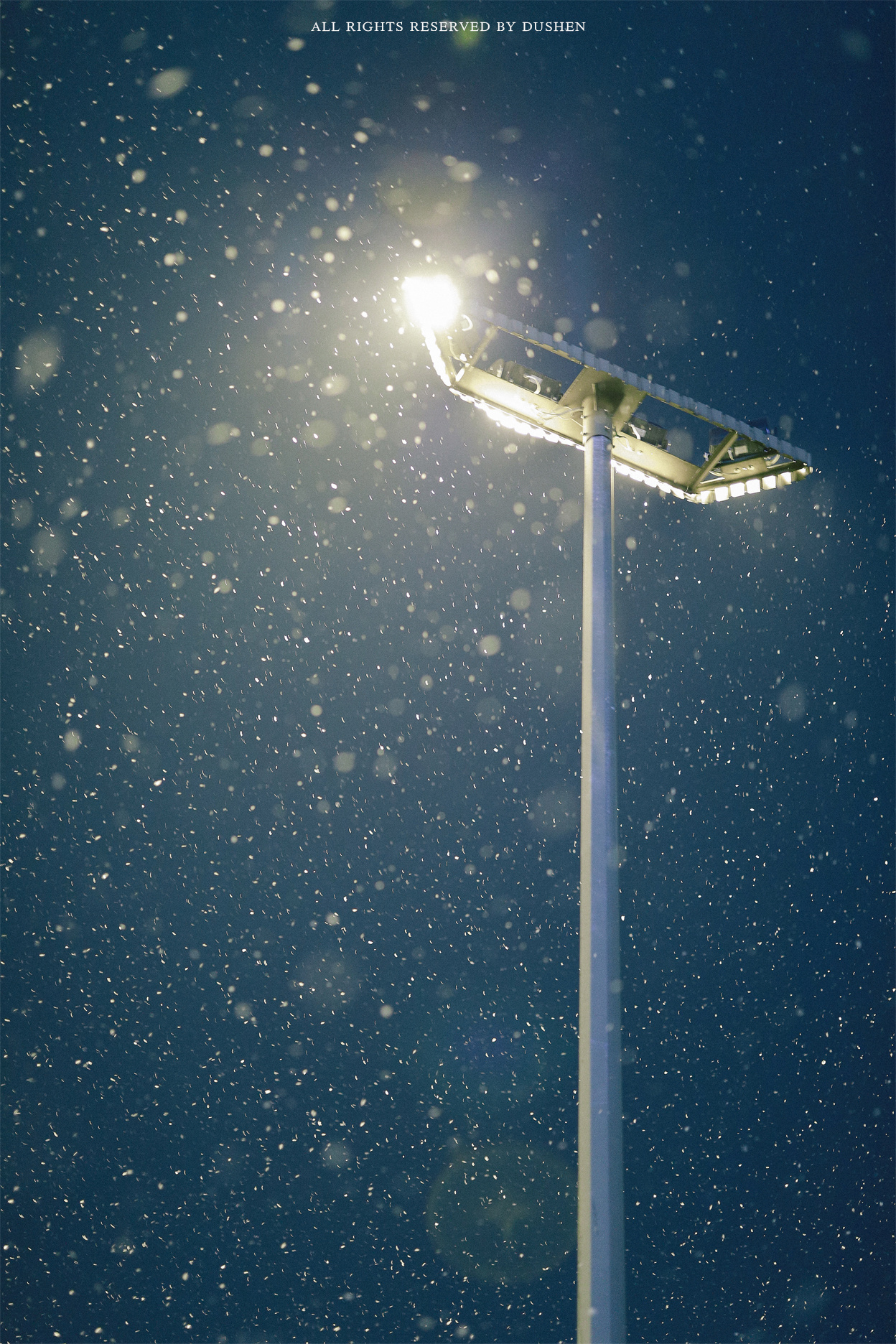 不牵手也可以漫步风霜雨雪摄影