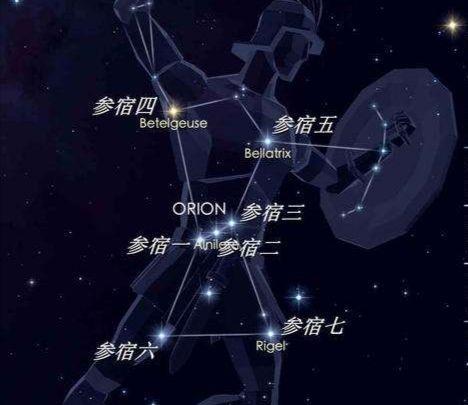 参宿七，猎户座最亮星！年龄只有1000万年，却已到“中老年”阶段|猎户座|参宿七|恒星_新浪新闻