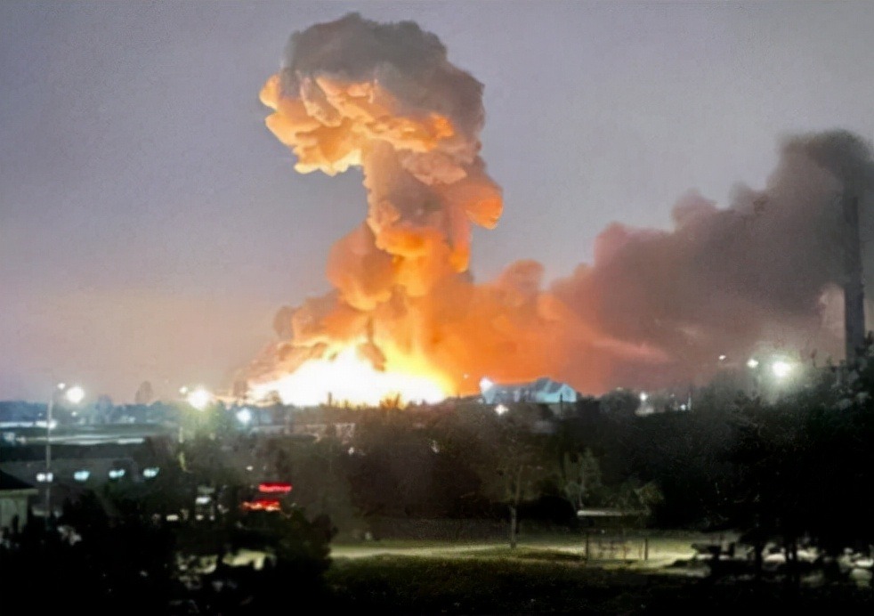 实在是可笑！对俄罗斯的猫进行制裁，猫咪：我做错了什么？休闲区蓝鸢梦想 - Www.slyday.coM