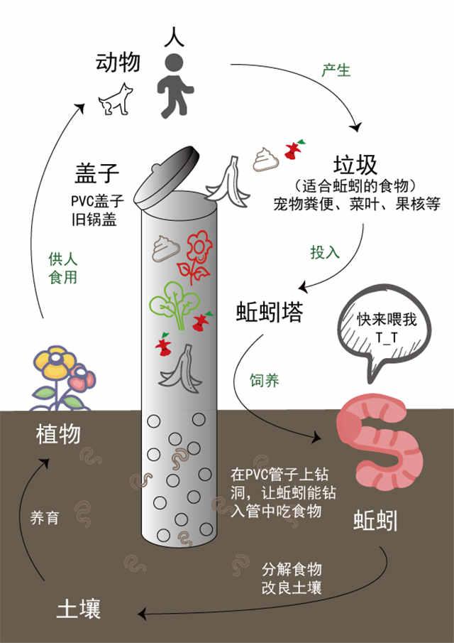 带领社区居民了解并学习制作蚯蚓塔