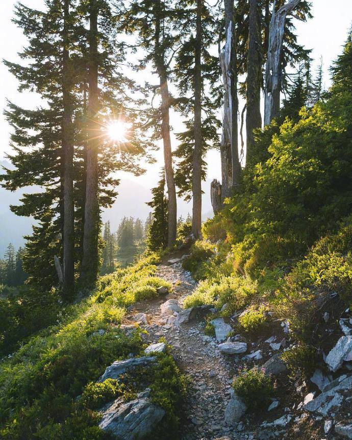 林间的阳光 ins:nathanaelbillings