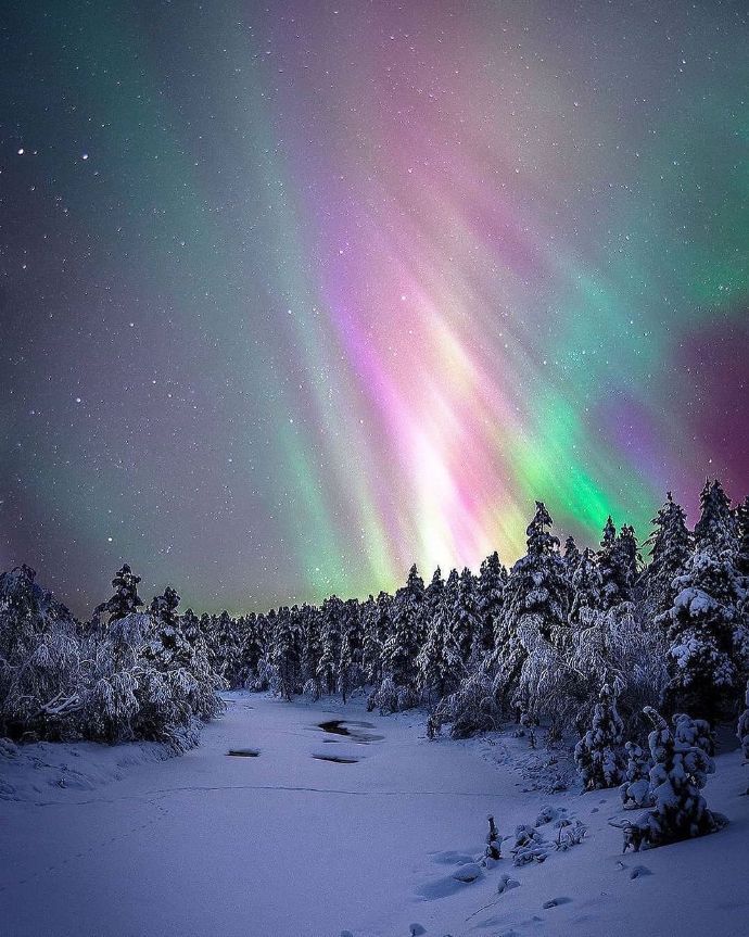 北欧雪景bynordics