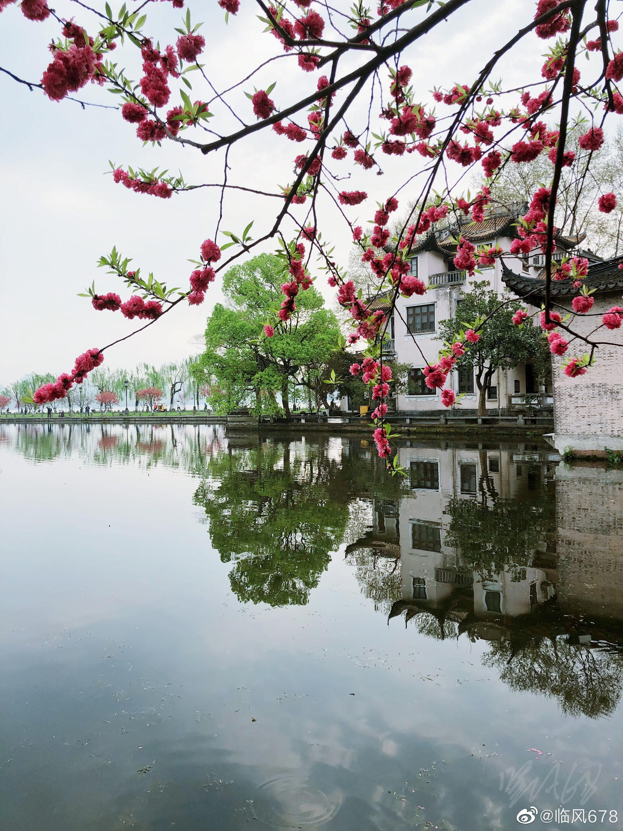 西湖美景三月天,春风又绿江南岸.