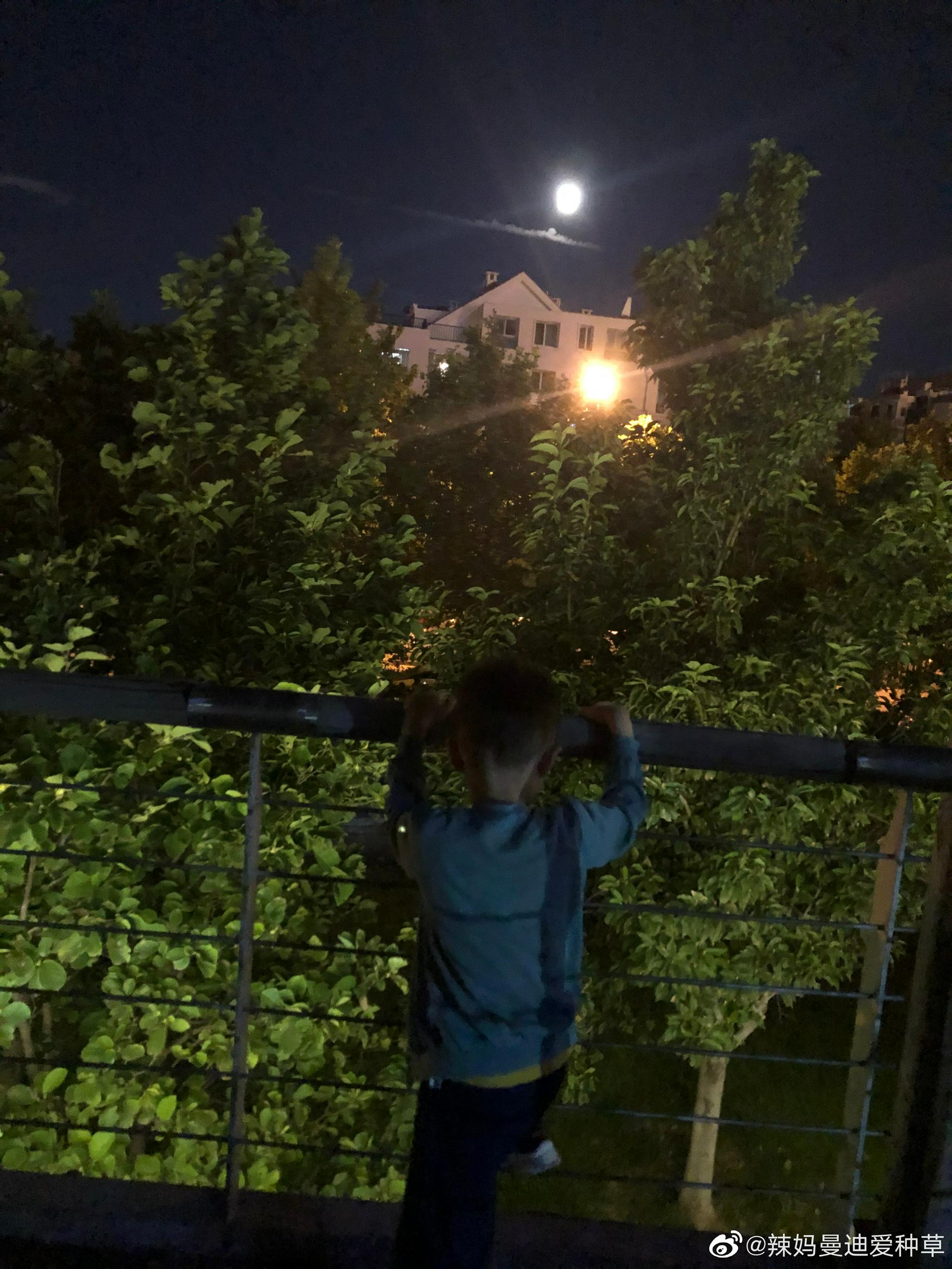 写完作业的嘟宝和爸爸一起在阳台看星星_高清图集_新浪网