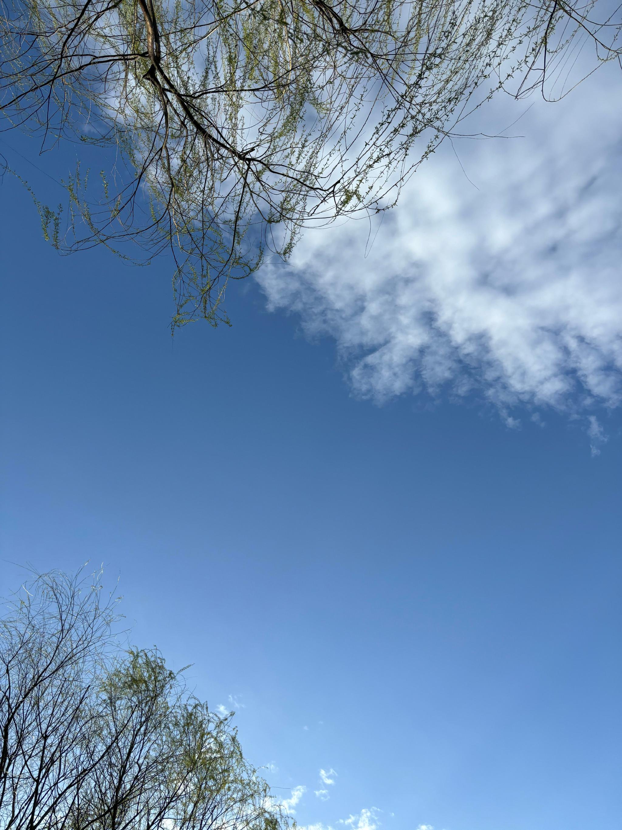 北京天空真美,有没有同感?|真美|同感|天空_新浪新闻