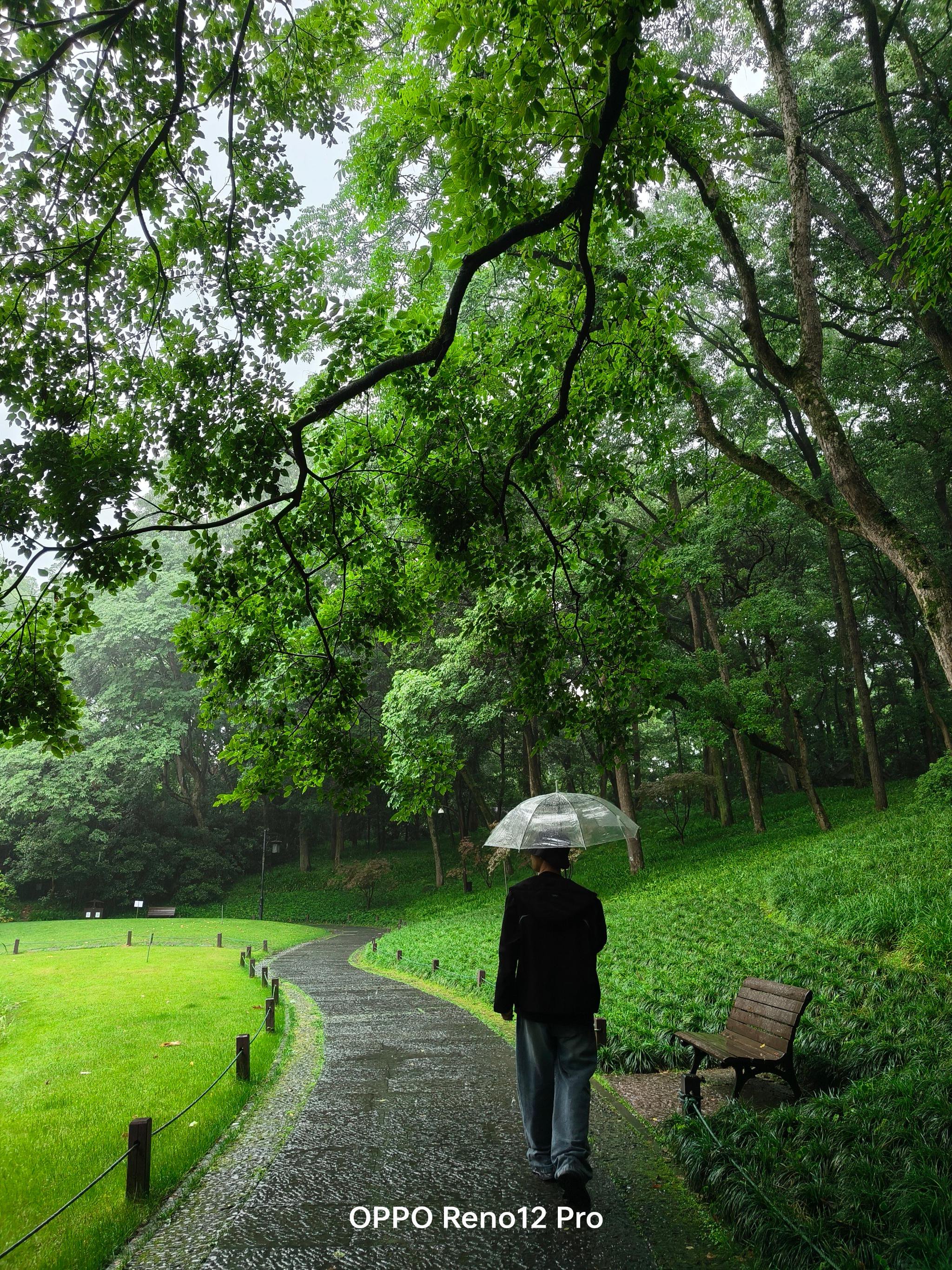 雨天太子湾公园 shot on oppo reno12 pro
