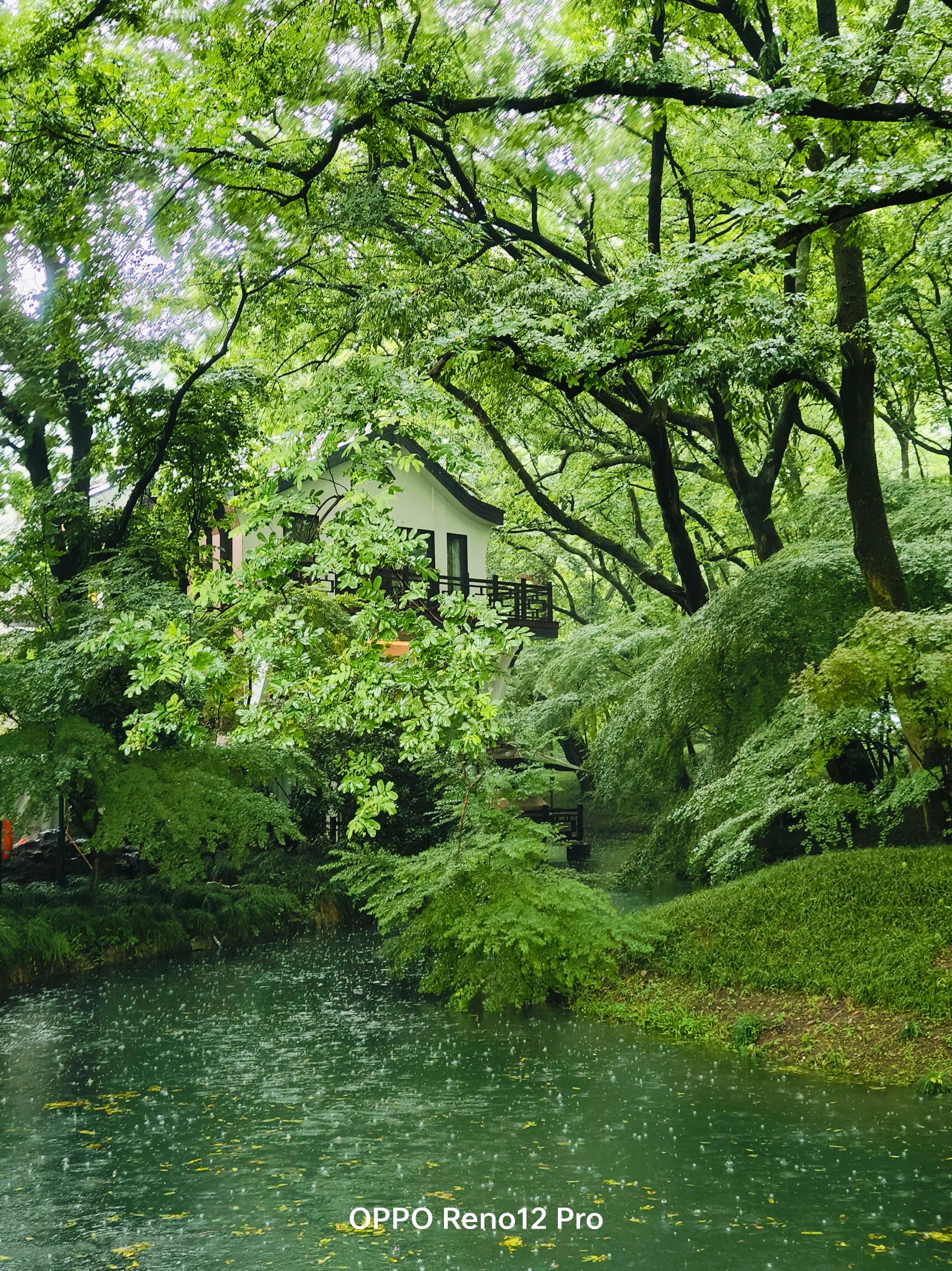 雨天太子湾公园 shot on oppo reno12 pro