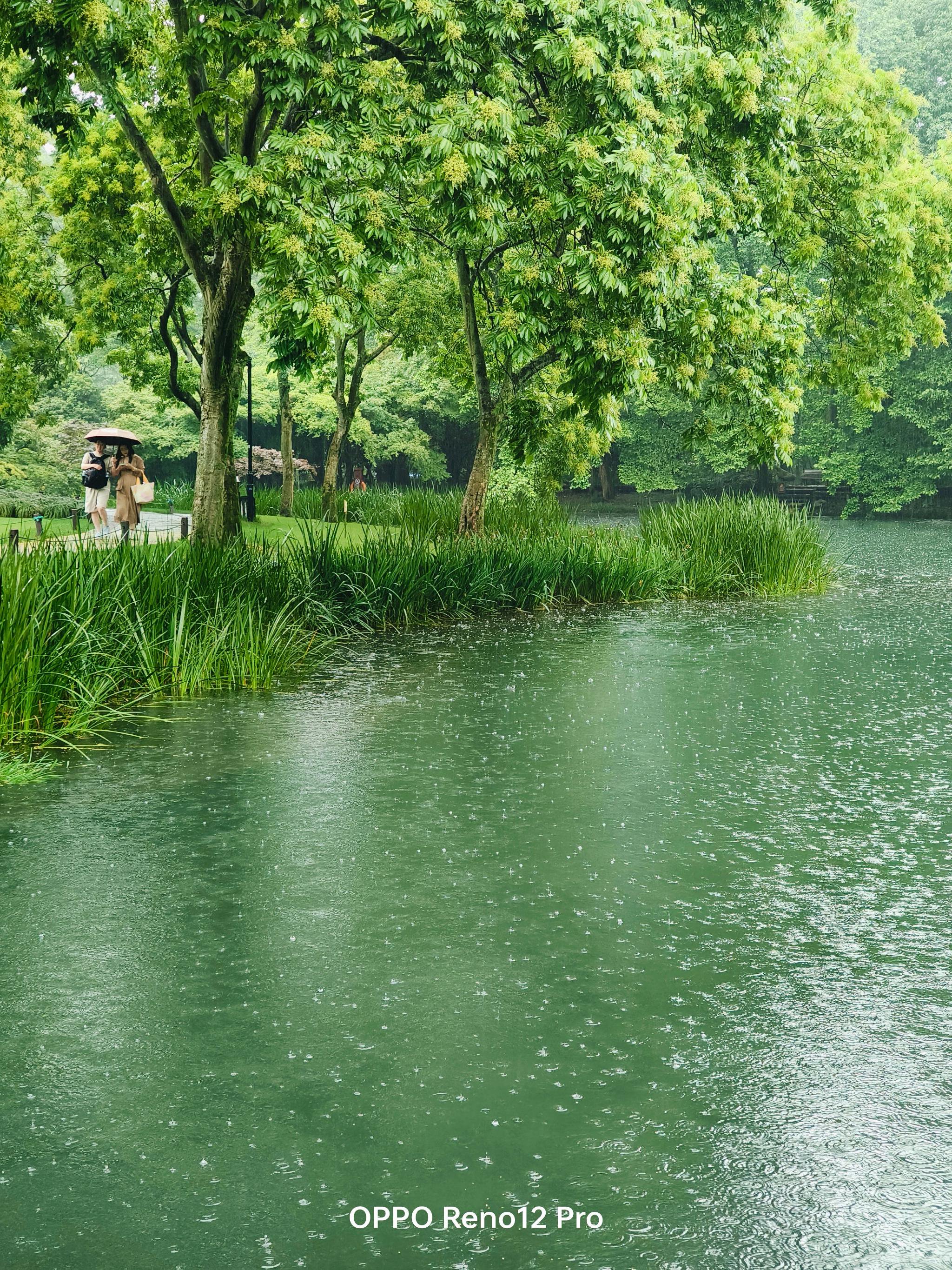 雨天太子湾公园 shot on oppo reno12 pro