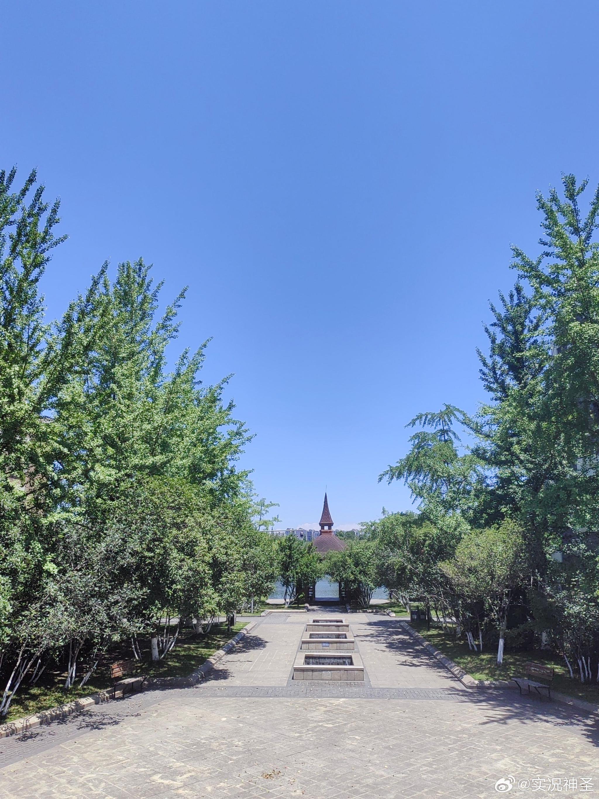 分享夏天的成都美景,微风徐徐,风清气爽