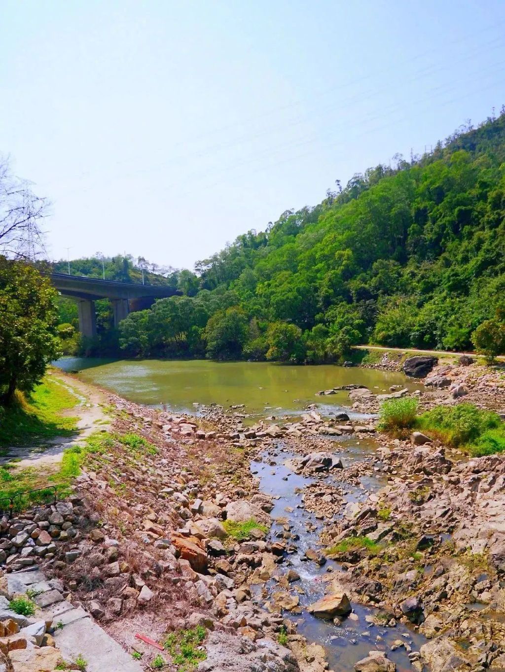 葵涌河绿道:缘起红色葵涌,归于碧水山川|凤凰_新浪新闻