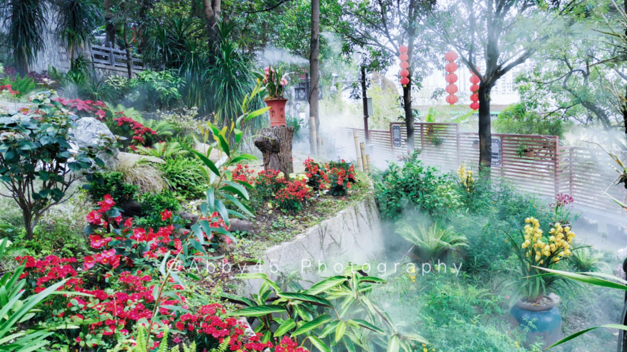 国内十大兰圃之一在福州,莫负好春光,免费尽享兰花的春之盛宴|兰圃|兰花|于山_新浪新闻