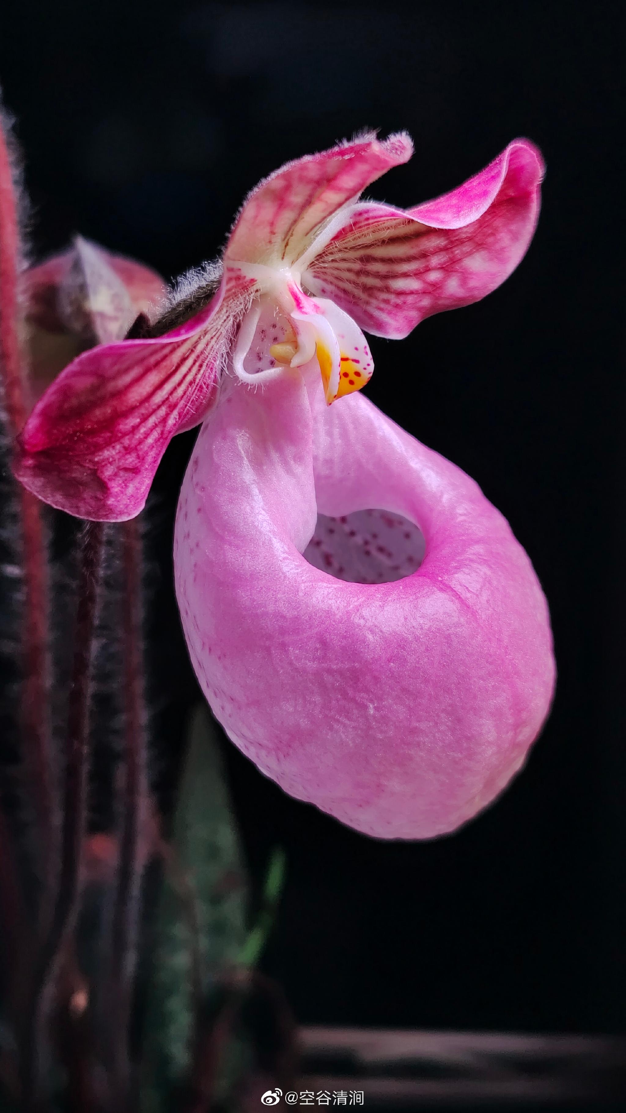 冰球突破关于嵩山的导游词（精选18篇）