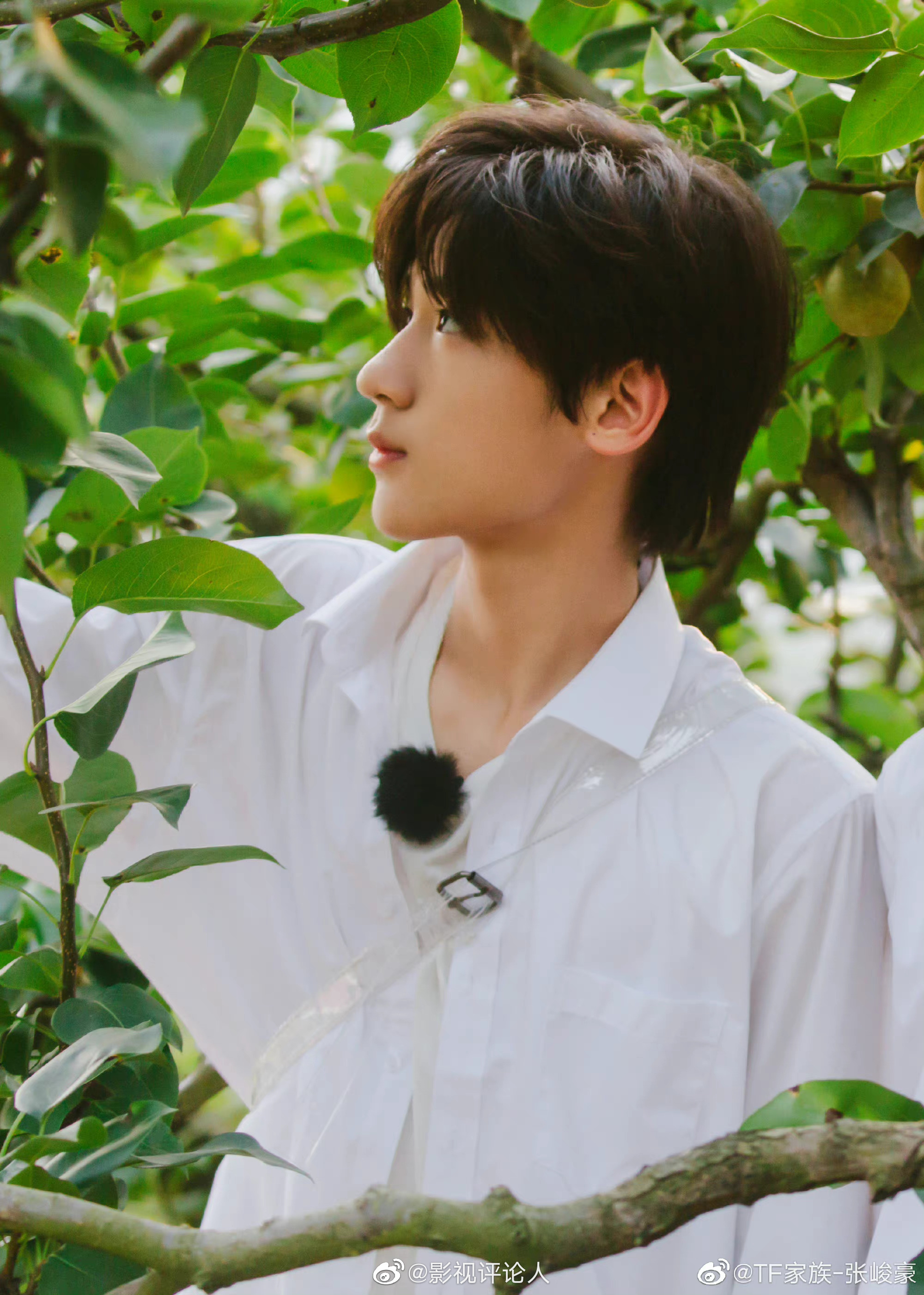 tf家族三代全员更博《恭喜你发现了宝藏》白衬衫花絮照