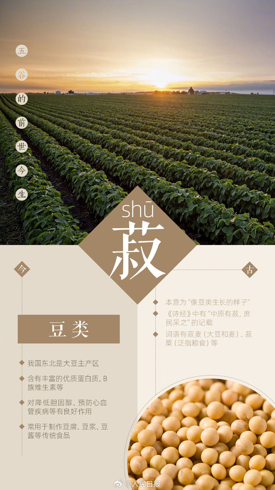 一组图了解五谷的前世今生|节约粮食|叫法|粮食|变迁_新浪新闻