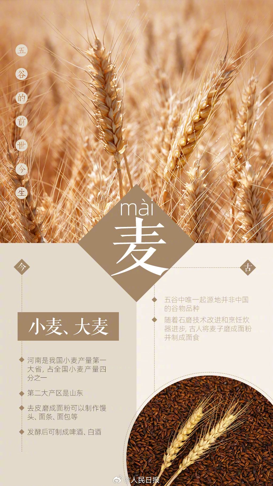 一组图了解五谷的前世今生|节约粮食|叫法|粮食|变迁_新浪新闻