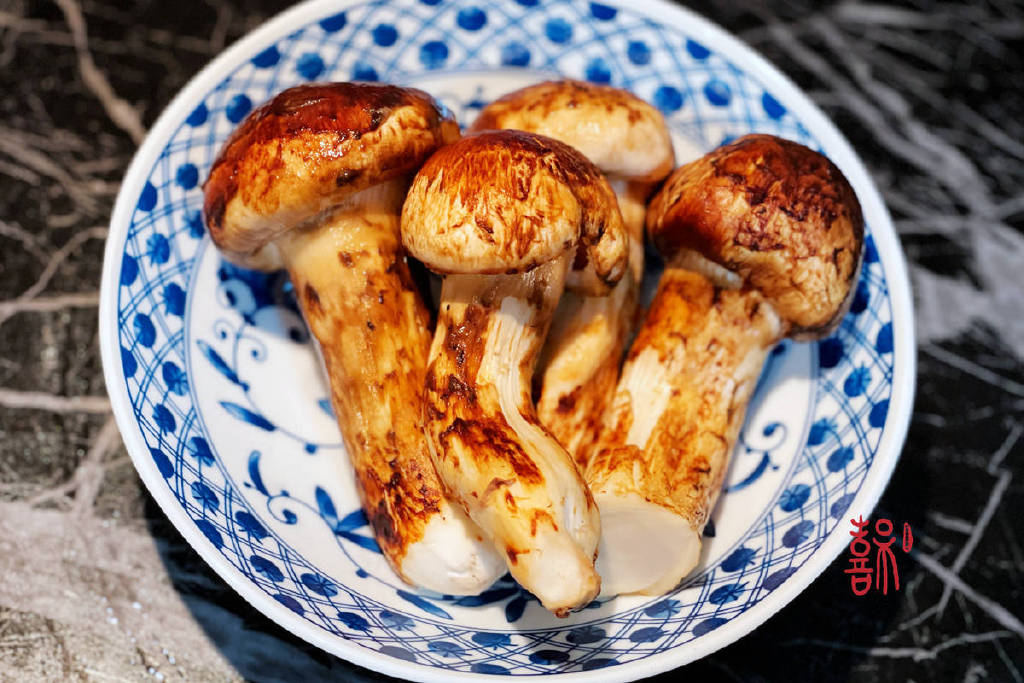松茸季·萧康情｜又是一年食菌季，来做一道清鲜开胃的松茸排骨汤