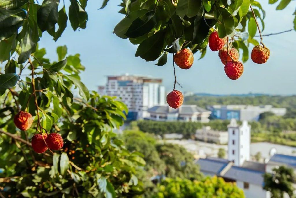 走！一起回乡村休闲区蓝鸢梦想 - Www.slyday.coM
