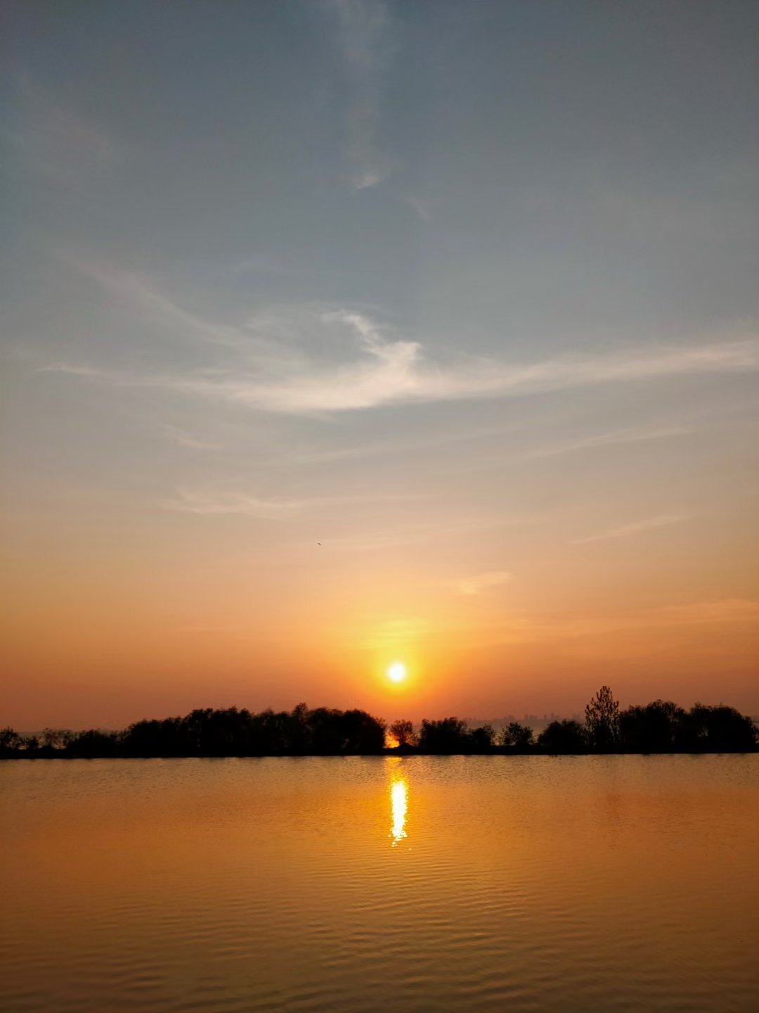 春天的夕阳__财经头条